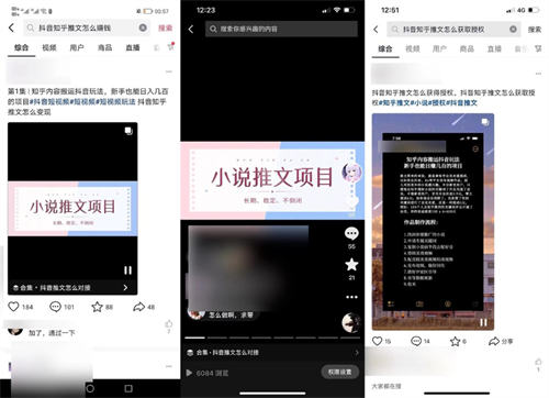 通过抖音seo操作知乎推文小说项目精准引流1000粉 引流 SEO 抖音营销 SEO推广 第1张